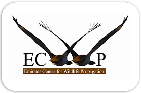 Ecwp